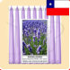 Novena Lavanda