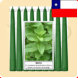 Novena Menta